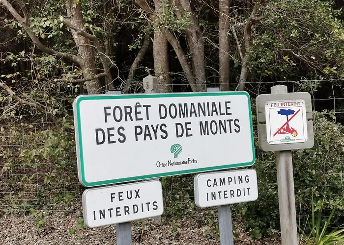 Le Moulin Jodet نوتر دام دي مونتس