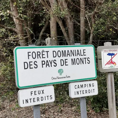 Le Moulin Jodet Notre-Dame-de-Monts